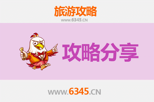 山南乃东至湄洲岛旅游攻略：跟团还是自由行选择指南